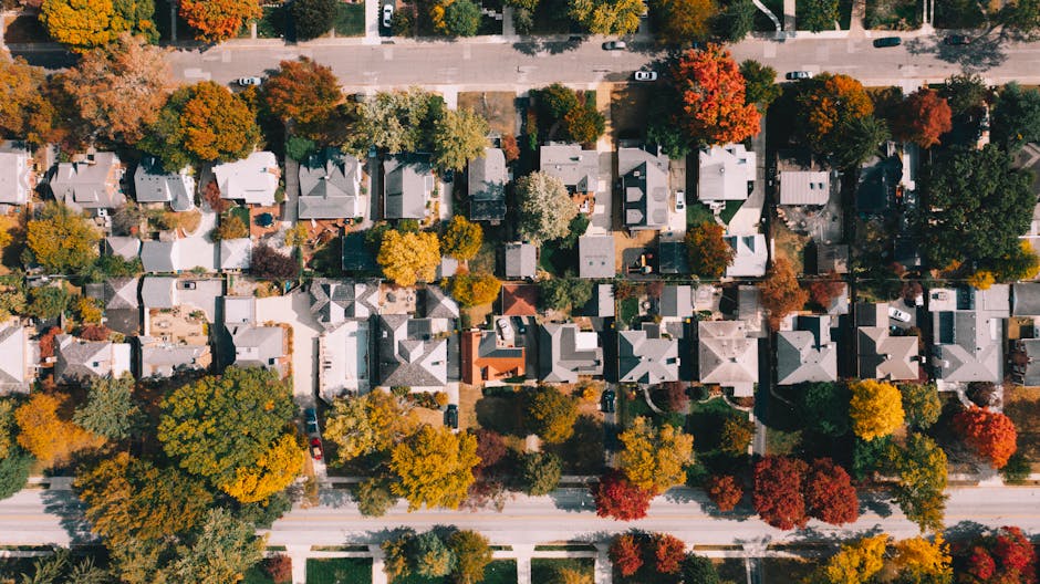 An aerial view of a residential neighbourhood with a row of closely spaced houses and narrow streets, surrounded by trees with vibrant autumn foliage in shades of orange, red, yellow, and green. The rooftops of the houses are diverse in design, with some flat and others pitched, made of materials like slate, tile, and metal. A paved street runs horizontally across the top of the image, with parked cars visible along the curb. In the foreground, a moving van marked with 'Man with Van Mitcham' is parked on the street below, with two individuals loading or unloading furniture wrapped in protective plastic and blankets into the van. Cardboard boxes and packing materials are placed on the pavement beside the van, indicating a home relocation process. The scene captures the logistics involved in furniture transport and packing within a dense, tree-lined neighbourhood, highlighting the challenges of moving on narrow streets as part of professional removals services.